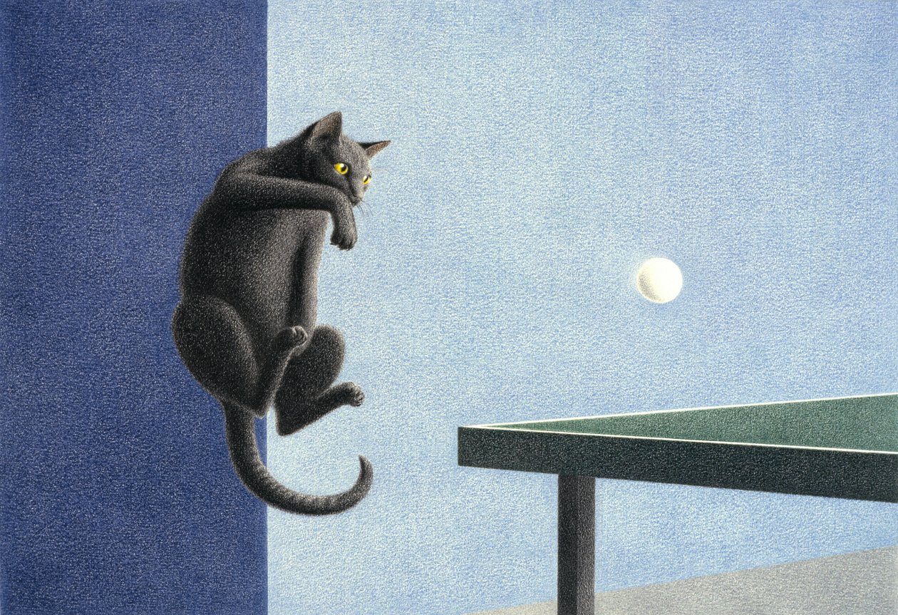 Pingue-pongue de Rene Boin