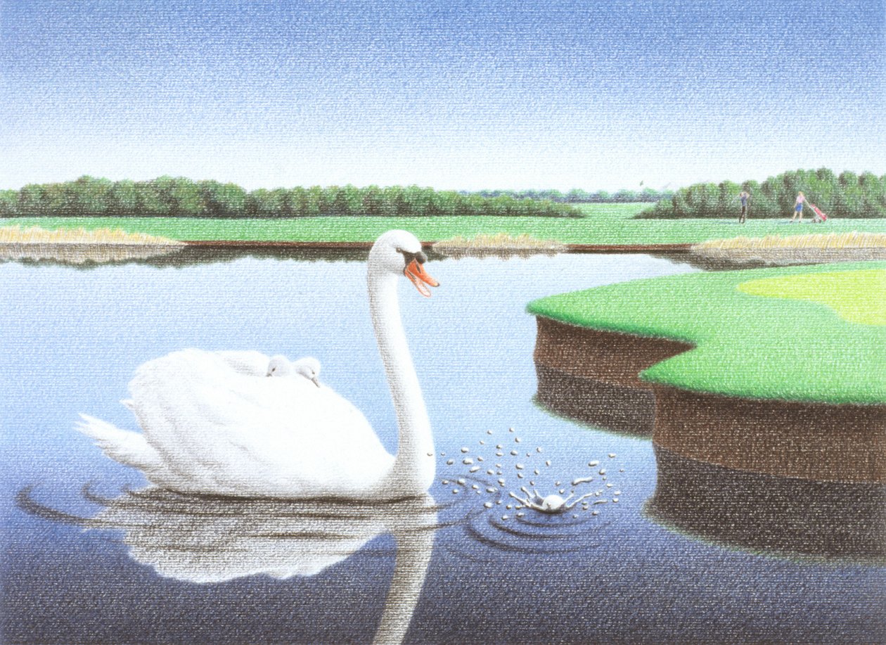 Salpicos de Rene Boin
