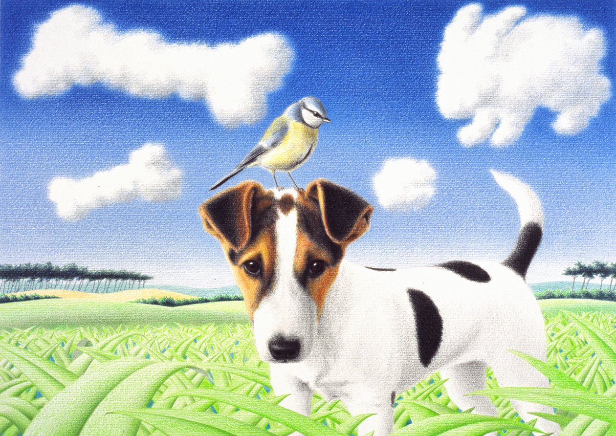 Pensamentos, 2004, desenho a lápis de cor sobre papel de Rene Boin