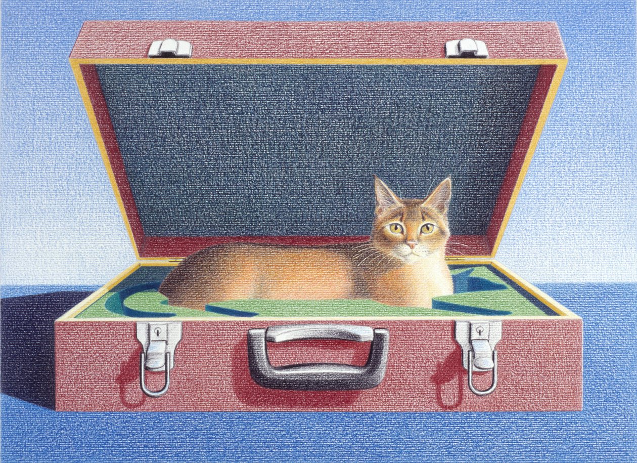Mala de viagem 2 de Rene Boin