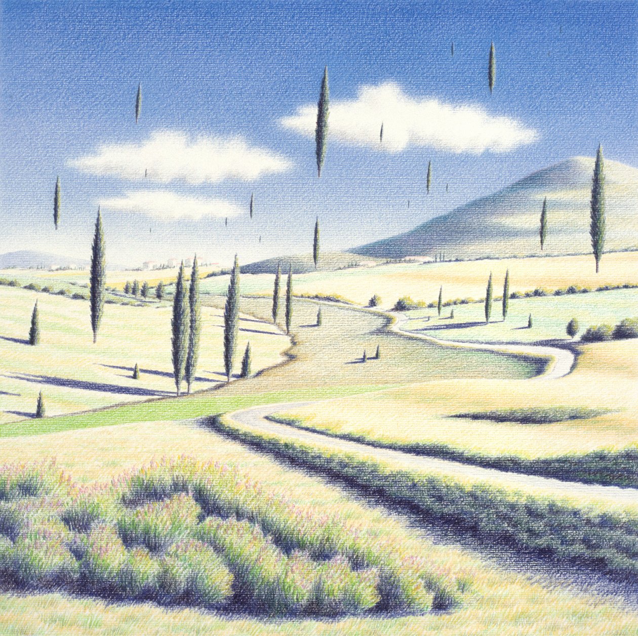 Árvores da Toscana, 2005 , Desenho a lápis de cor sobre papel de Rene Boin