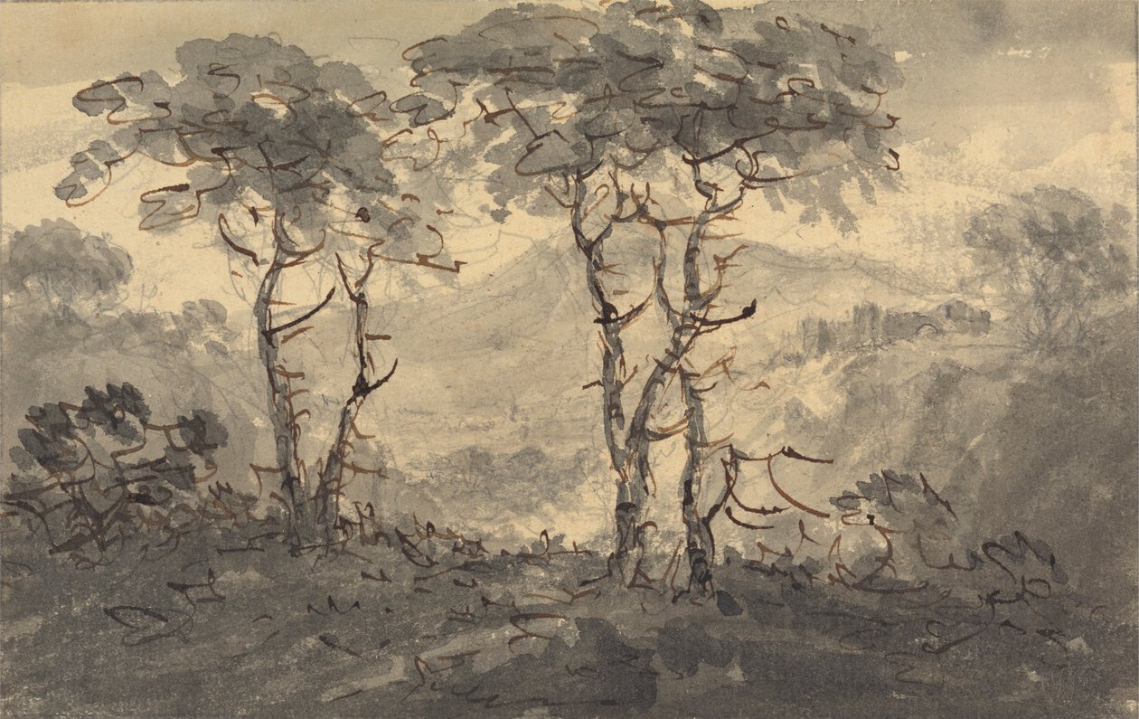 Árvores de Abeto numa Paisagem de Montanha de Rev. William Gilpin