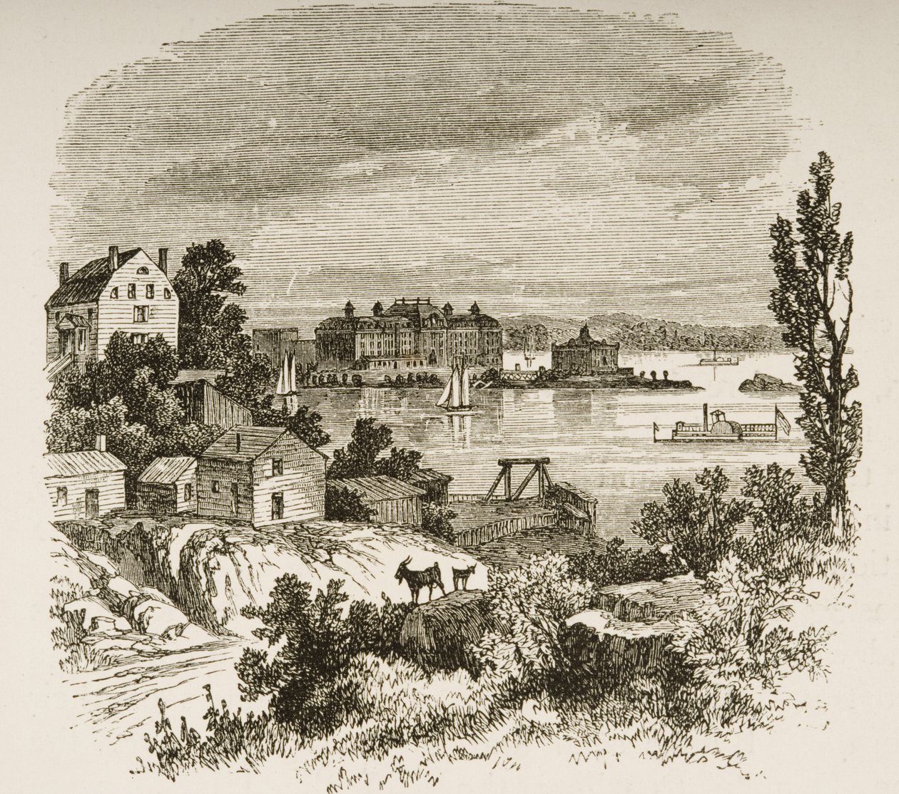 Baía da tartaruga e ilha de Blackwells, Nova Iorque, c.1880 de Reverend Samuel Manning