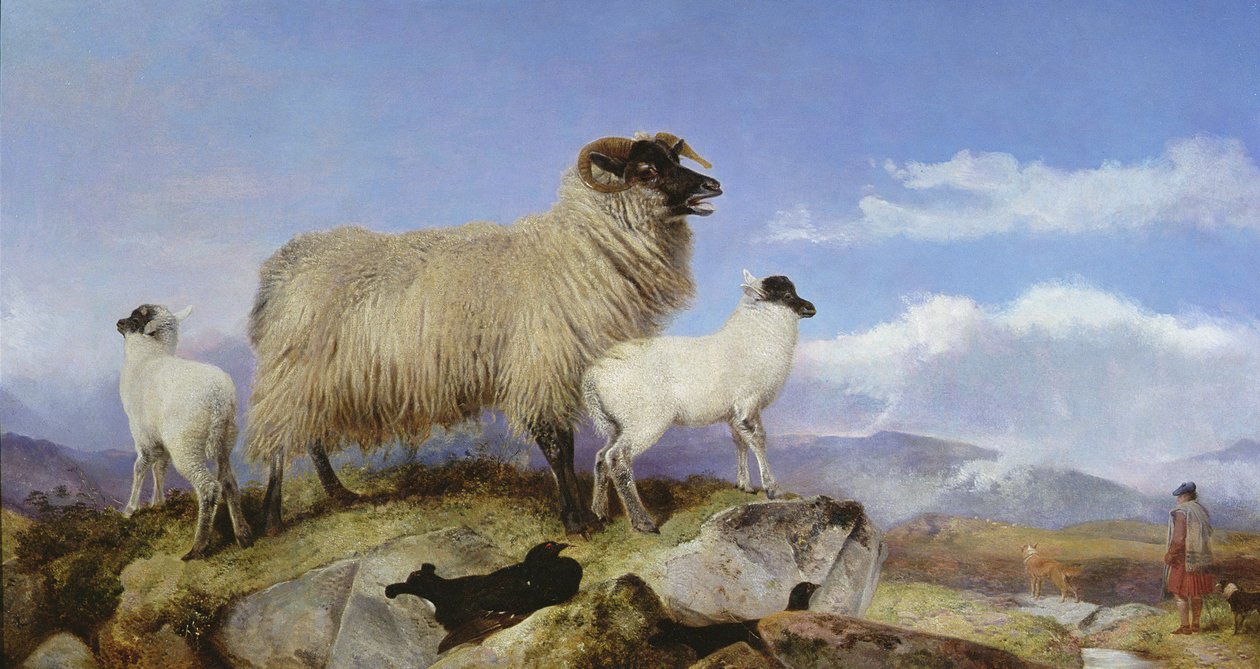Ovelha e cordeiros de Richard Ansdell