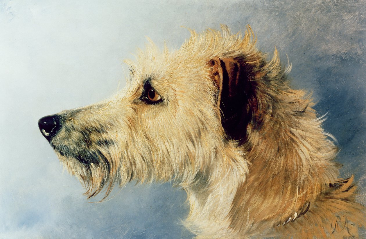 Cabeça de um cão de Richard Ansdell