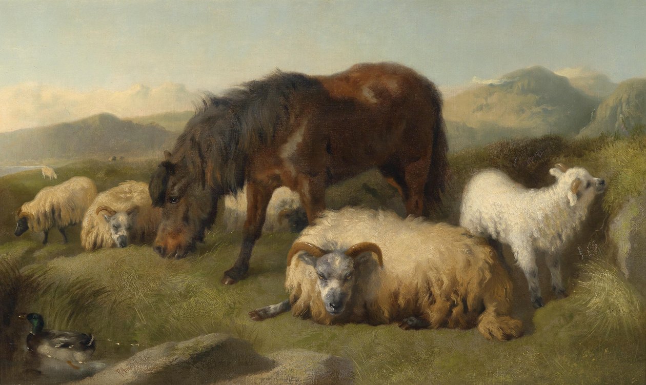 Cabras, ovelhas e um pônei de Richard Ansdell