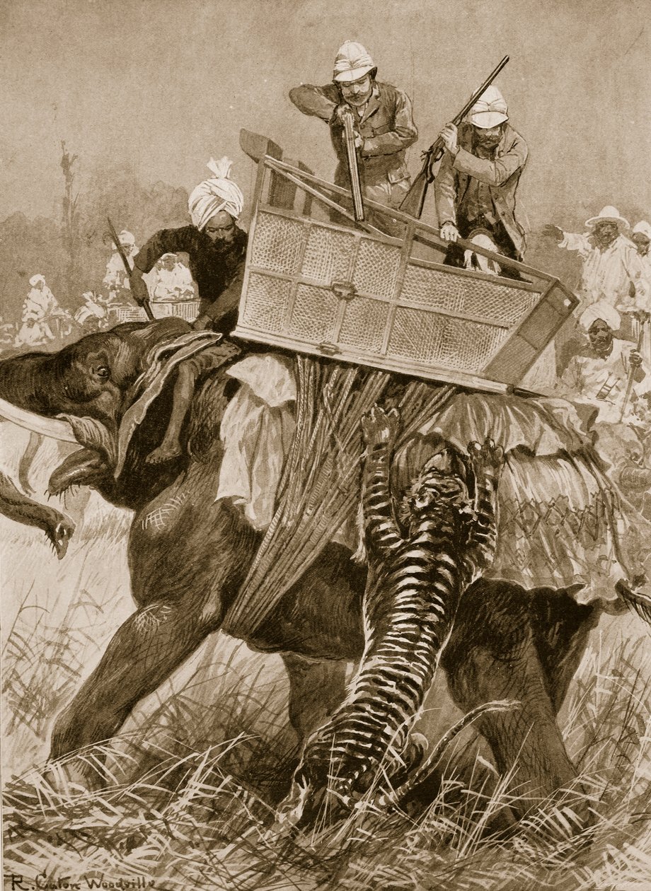 A Visita do Príncipe de Gales à Índia, 1876: O Elefante do Príncipe Cobrado por um Tigre em Nepaul Terai, em 21 de fevereiro, de "The Illustrated London News", 1901 de Richard Caton Woodville