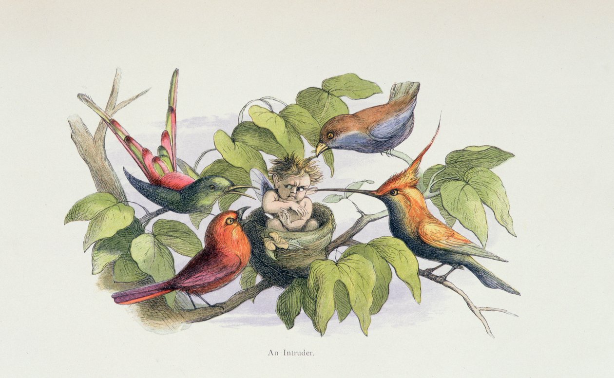 Um intruso, ilustração de &39;Em Fairyland: Uma série de fotos do mundo dos elfos&39; por William Allingham e Andrew Lang de Richard Doyle