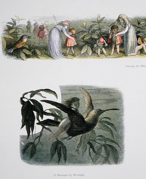 Vestindo os Baby Elves e A Messenger by Moonlight, ilustrações de In Fairyland: Uma série de fotos do mundo dos elfos de William Allingham e Andrew Lang (ver também 222021) de Richard Doyle