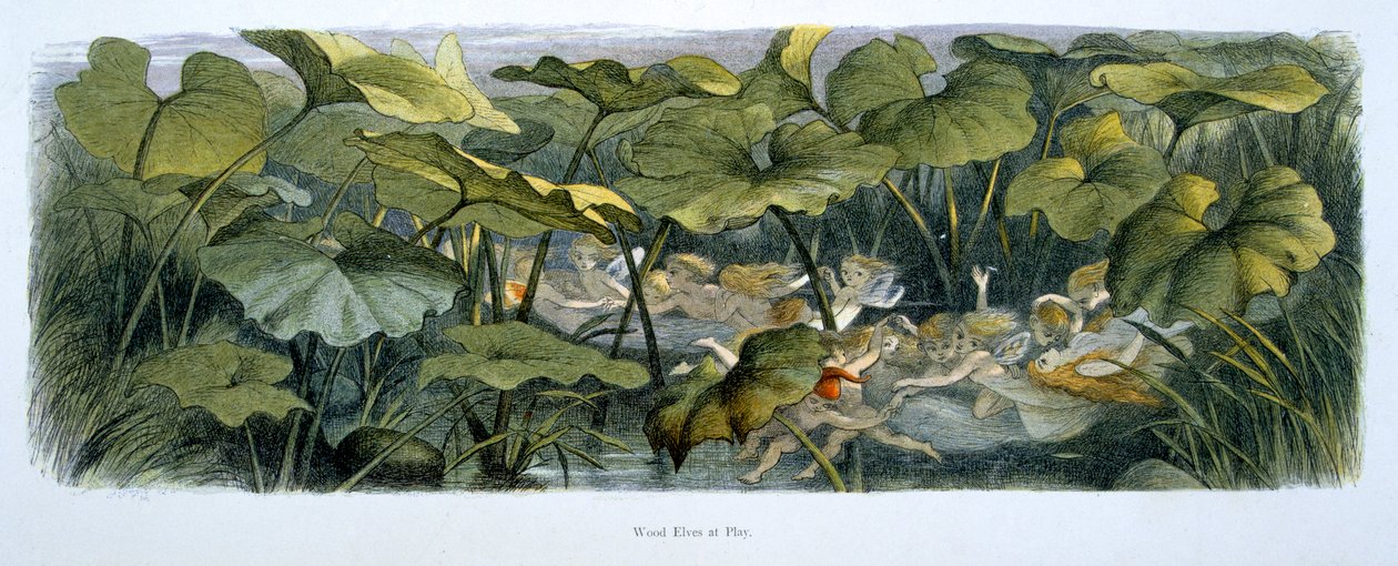 Elfos de madeira no Play, ilustração de &39;em Fairyland: uma série de imagens do mundo de elfo&39; de Richard Doyle