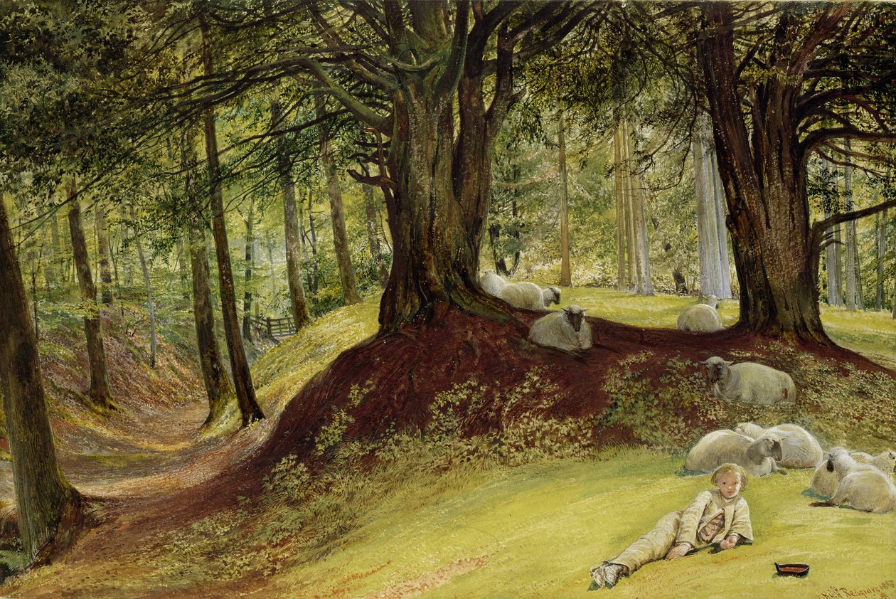 Parkhurst Woods, Abinger, Surrey de Richard Redgrave