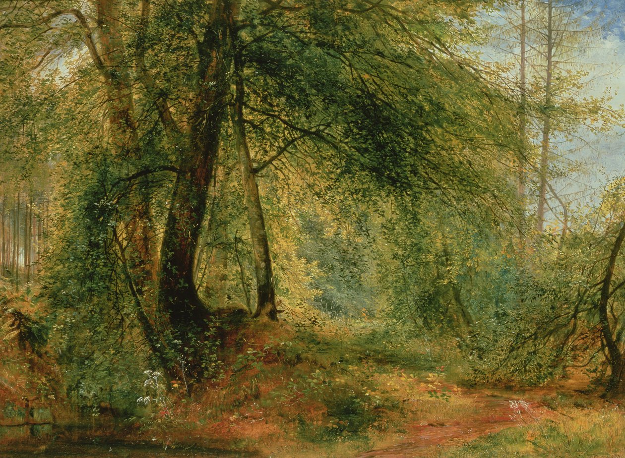 O espelho da floresta, século XIX de Richard Redgrave