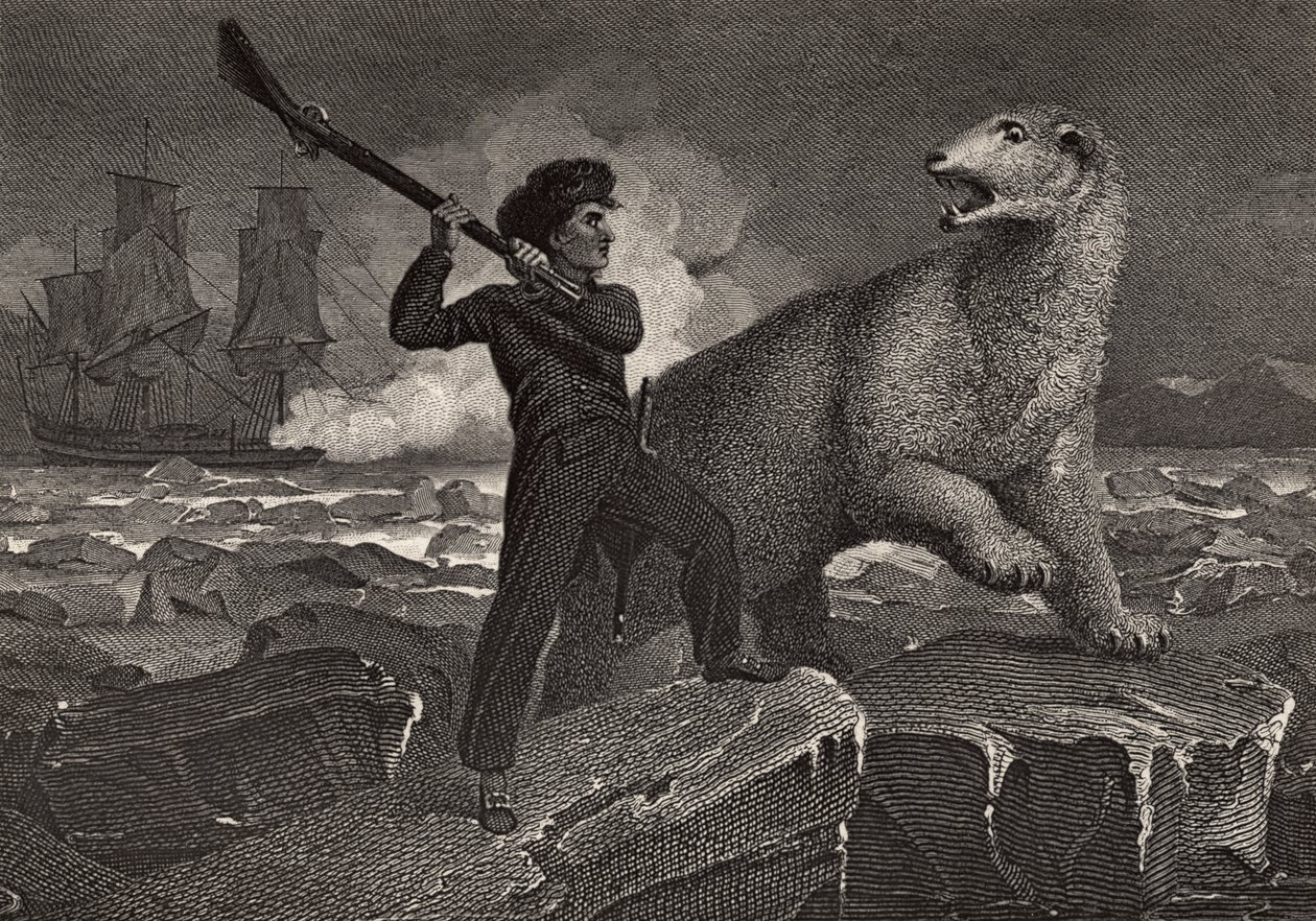 Encontro de Nelson com um Urso, ilustração de "The Life of Nelson" de Robert Southey (1774-1843) publicado pela primeira vez em 1813 de Richard Westall