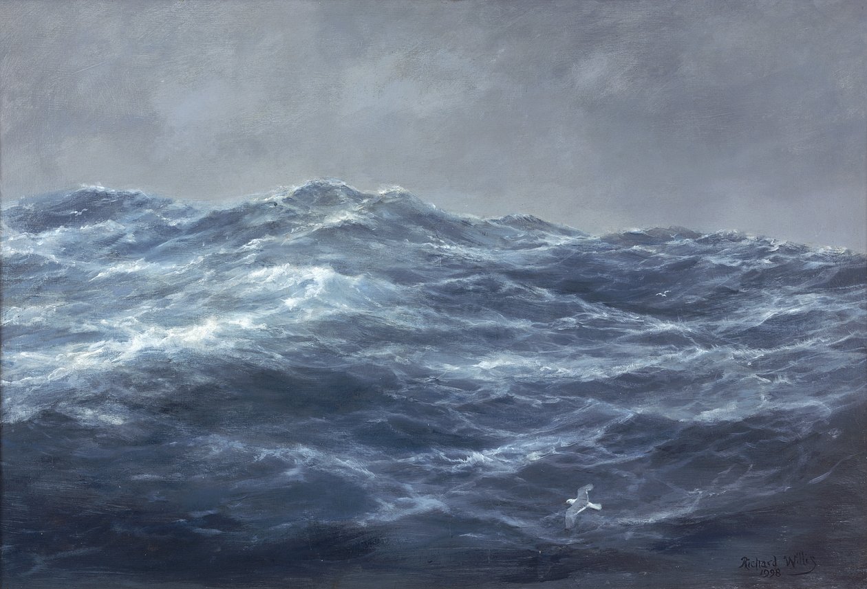 O caminho da gaivota de Richard Willis