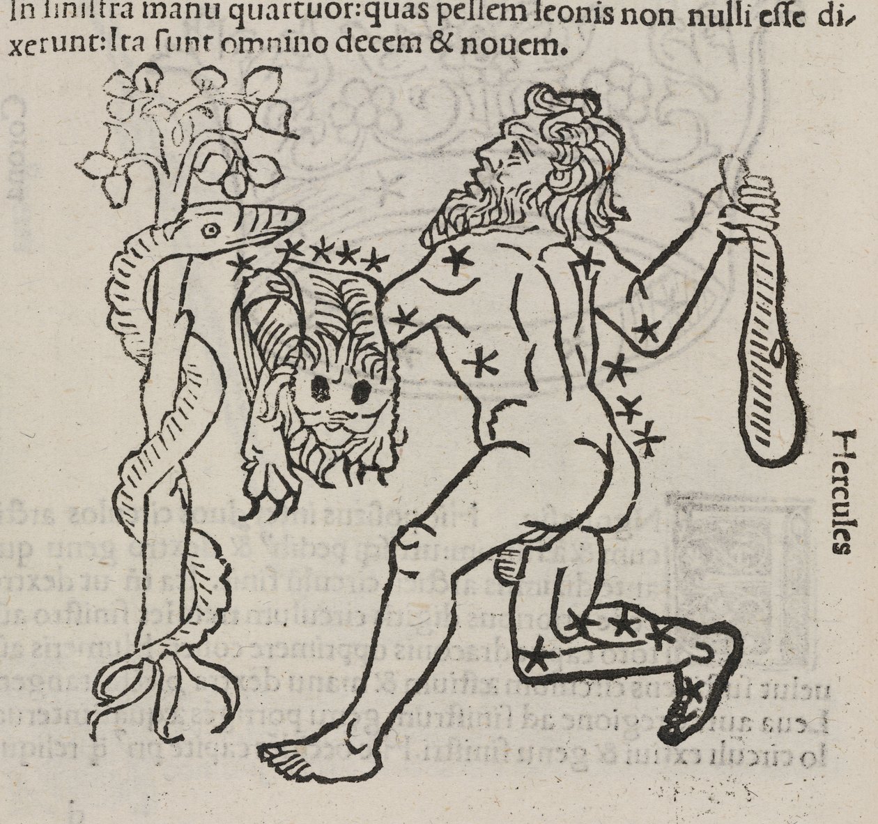 A constelação de Hércules de John Pardon