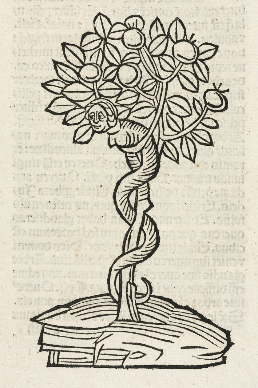 A serpente na árvore do conhecimento de John Pardon