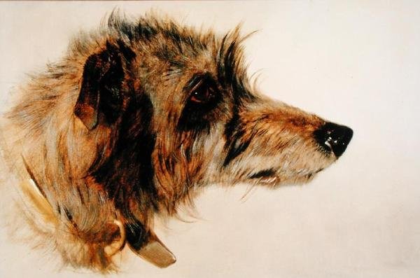 Cabeça de um Cão de Richard Ansdell