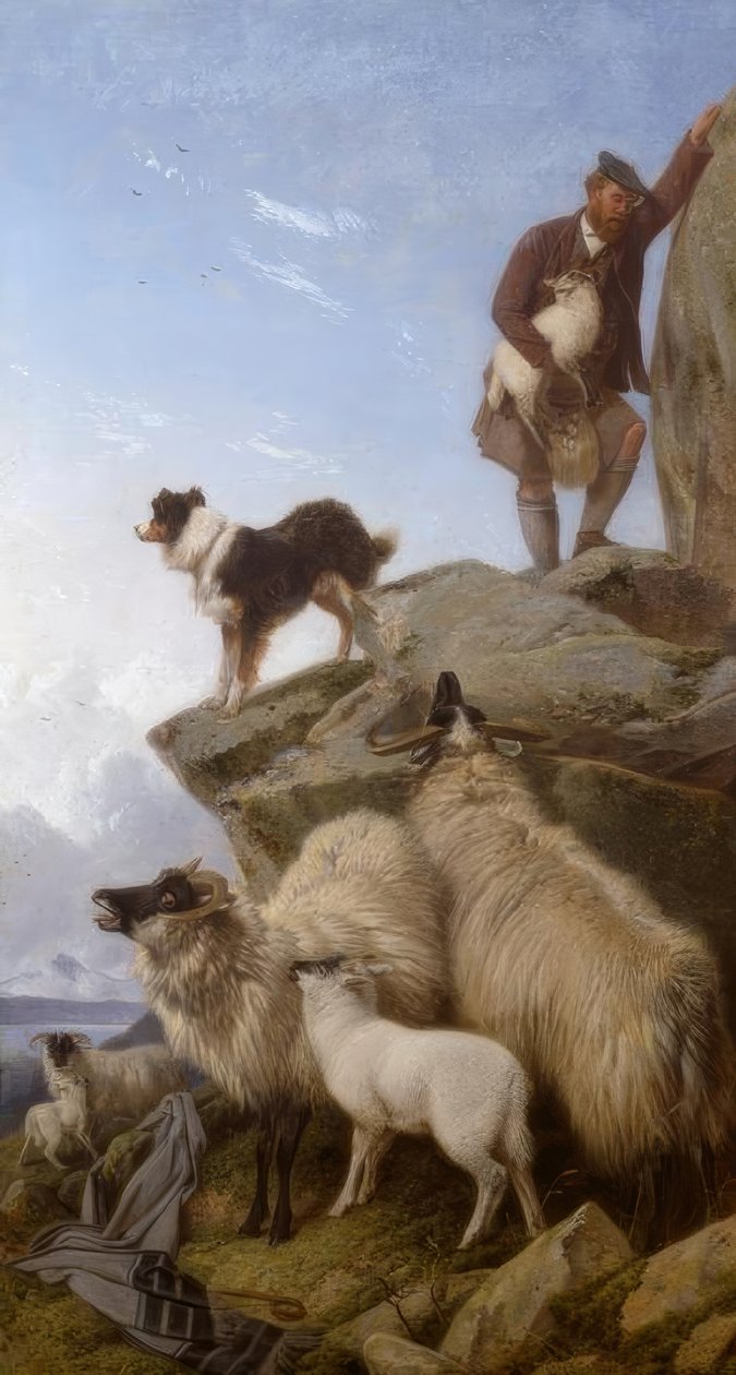R.Ansdell, O Carneiro Perdido - Pintura, 1868 de Richard Ansdell