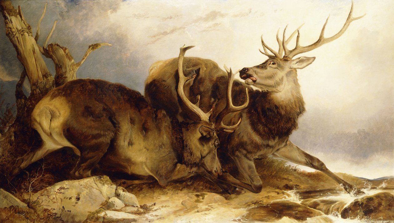 O Combate, 1847 de Richard Ansdell