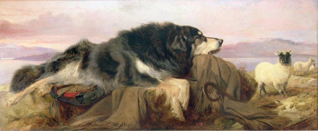 O Cão de Pastor de Richard Ansdell