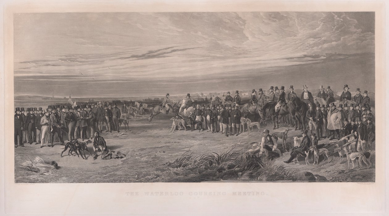 O Encontro de Waterloo Coursing de Richard Ansdell