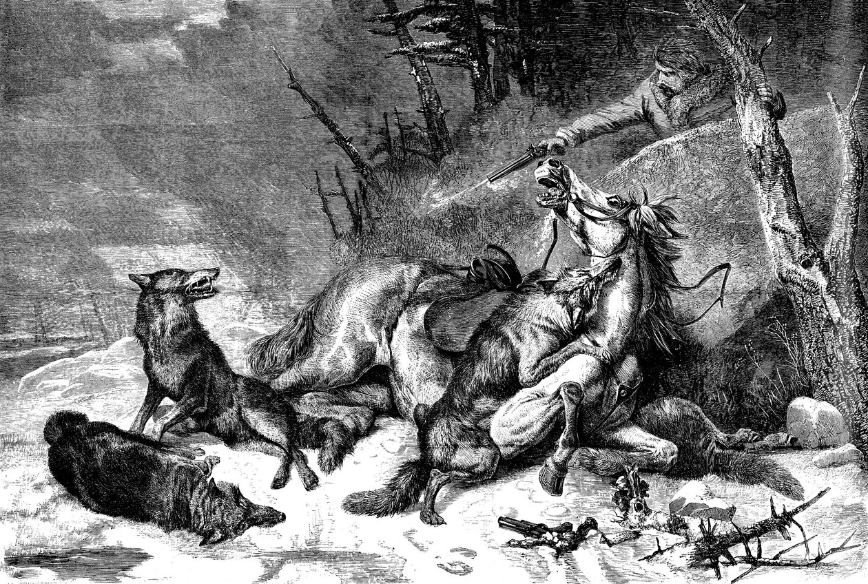 Viajante a Cavalo atacado por uma Matilha de Lobos de Richard Ansdell