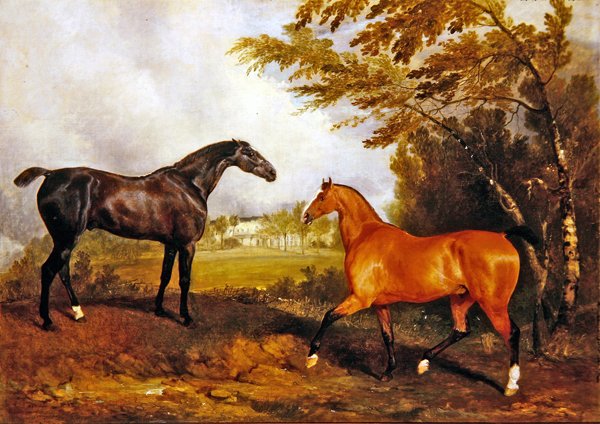 Cena Equestre (óleo sobre tela) de Richard Barrett Davis