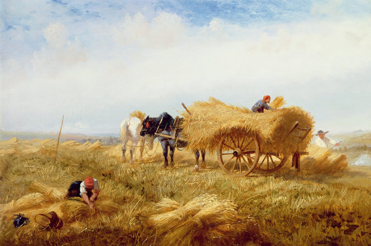 Colheita, perto de Boulogne-sur-Mer de Richard Beavis