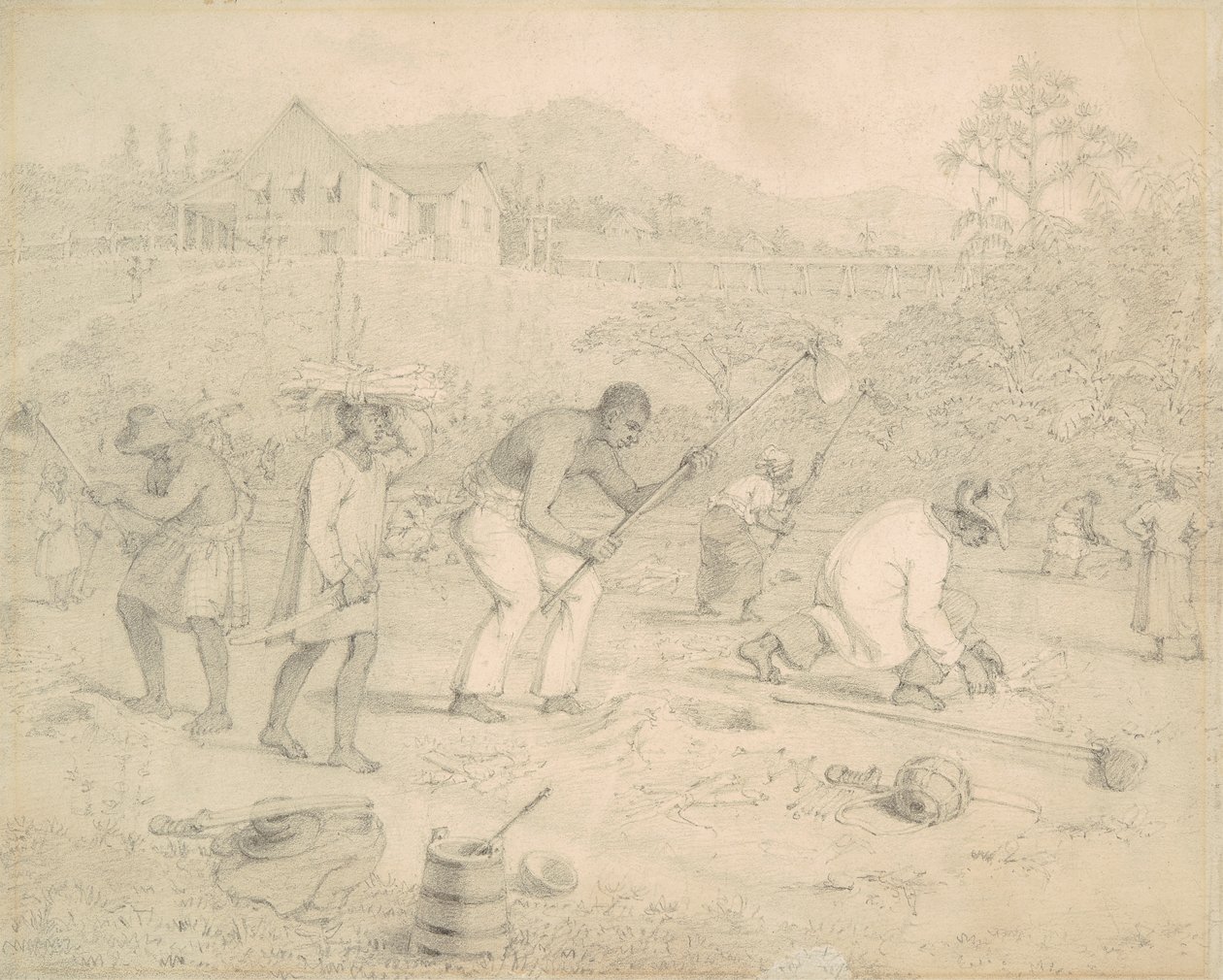 Plantação da cana de açúcar (Trinidad) de Richard Bridgens