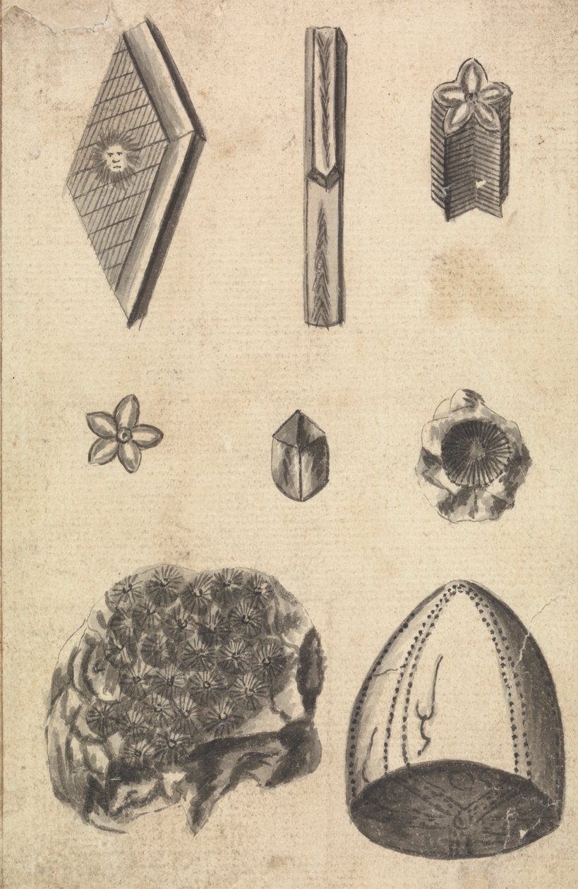 Cristais e Fósseis de Richard Brookes