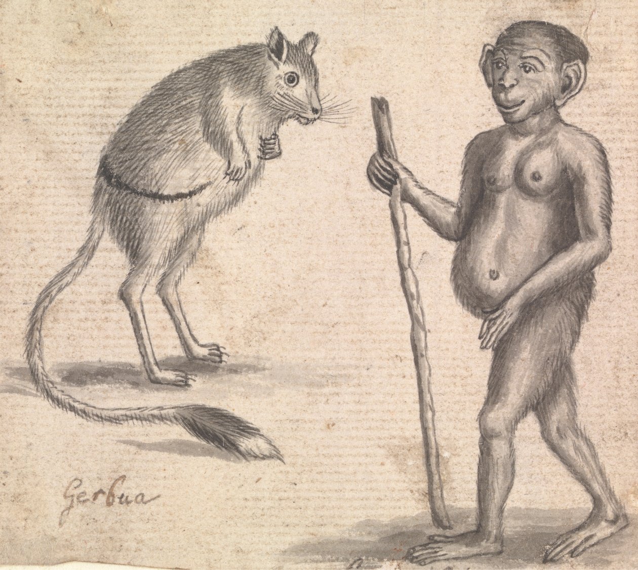 Macacos (um de três em um monte) de Richard Brookes