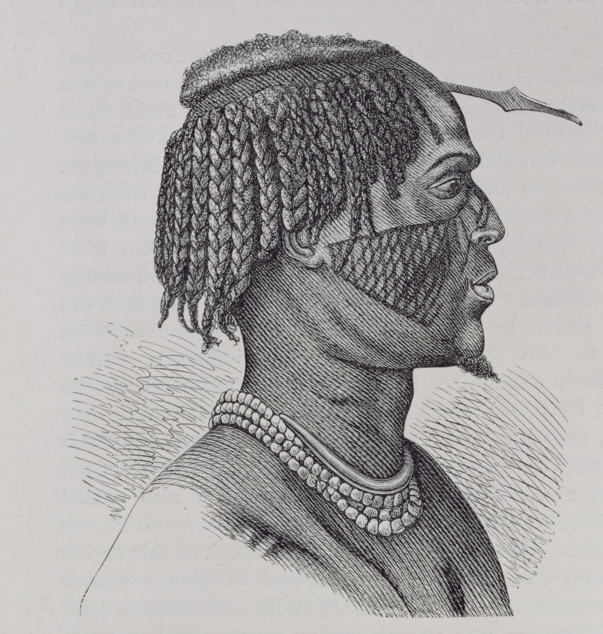 A Zandeh, de &39;A História da Humanidade&39;, Vol.III, do Prof. Friedrich Ratzel, 1898 de Richard Buchta