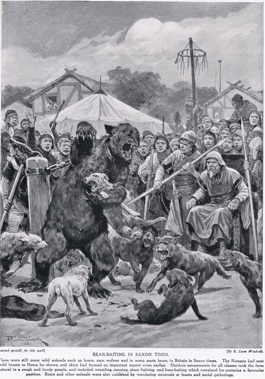 Isca de urso na época dos saxões, da "História da nação britânica" de Hutchison, c.1920 de Richard Caton Woodville