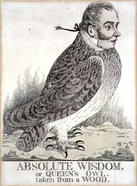 Absolute Wisdom ou Queens Owl Taken from a Wood (gravura) de Richard Dighton