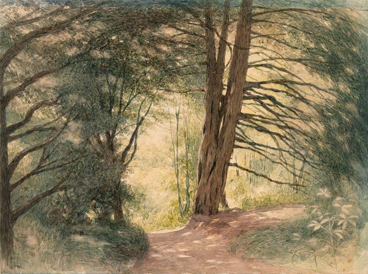 Box Hill, Surrey de Richard Doyle