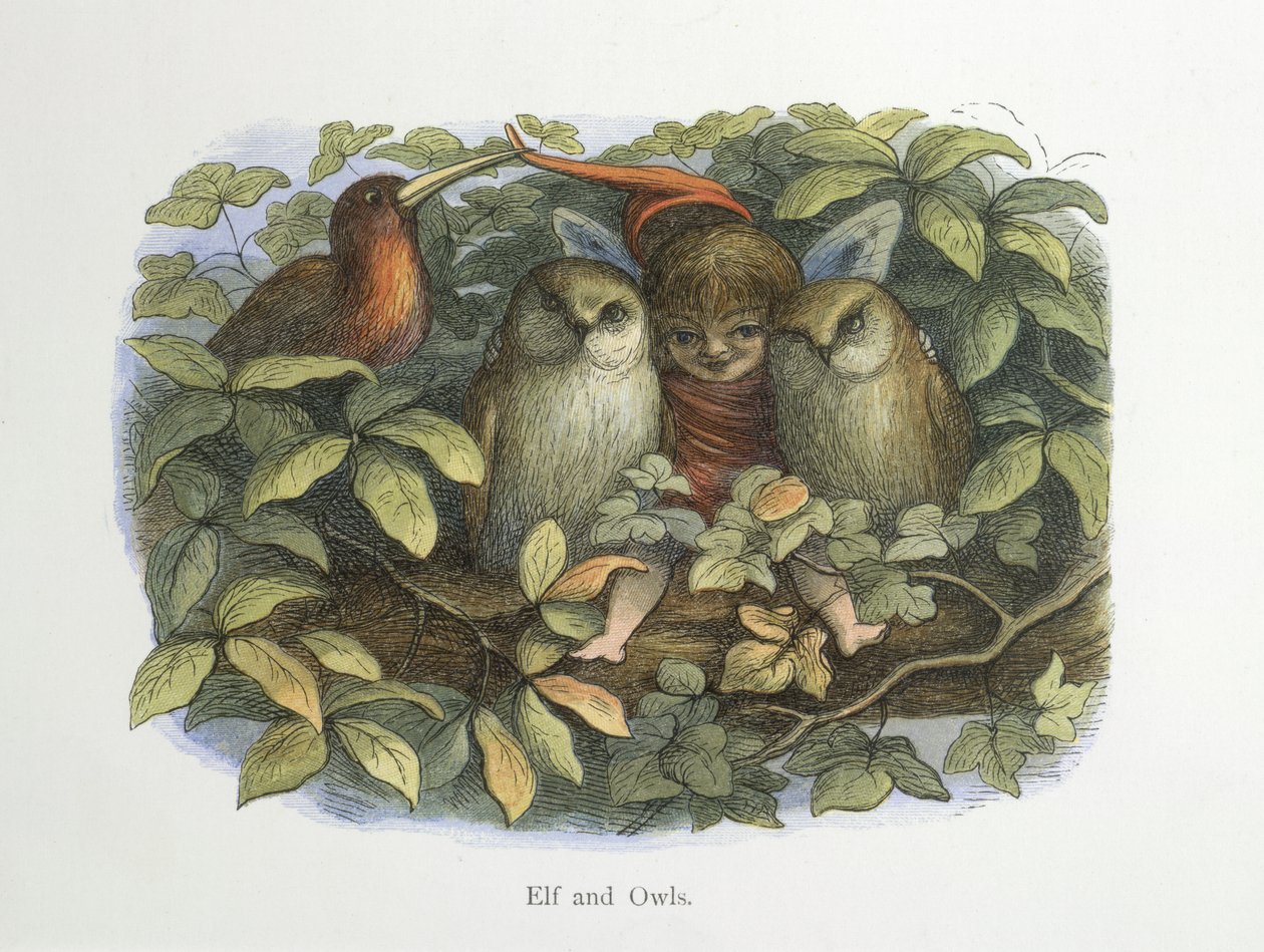 Elfos e corujas de Richard Doyle