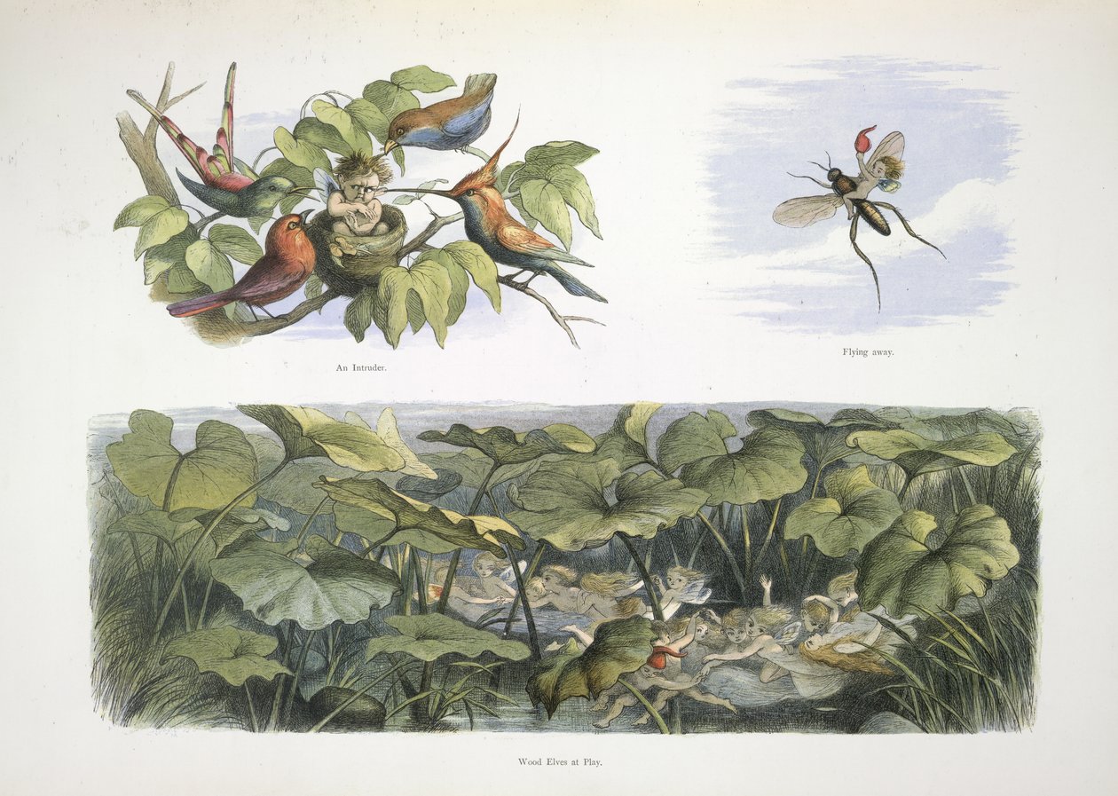 Elfos de Richard Doyle
