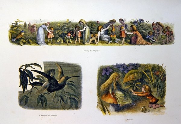 Em Terra de Fadas de Richard Doyle