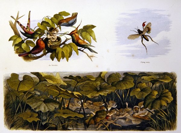 Em Terra de Fadas de Richard Doyle