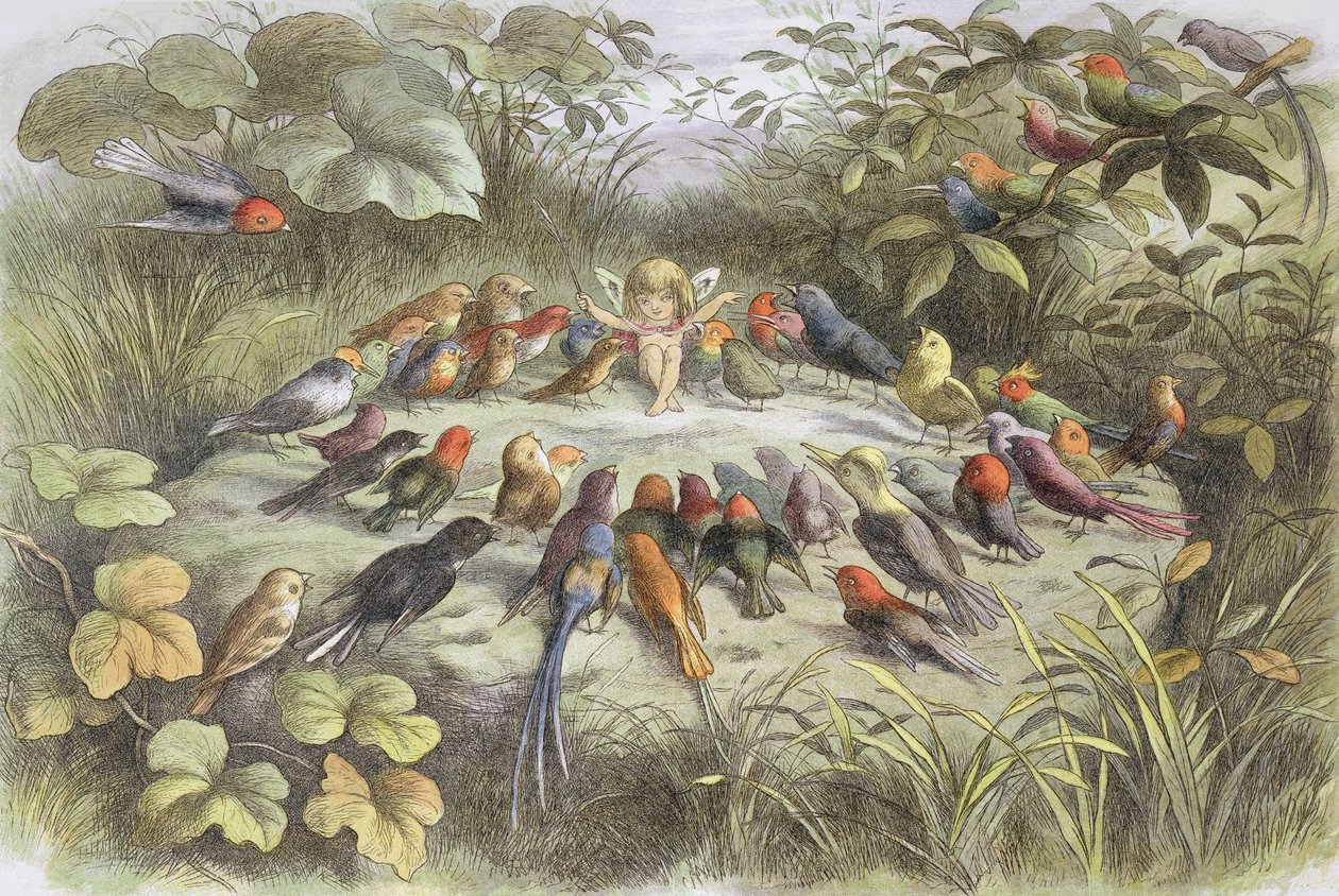Ensaio de música no País das Fadas (Ilustração de "In Fairyland. Pictures from the Fairy World", de William Allingham e Andrew Lang de Richard Doyle