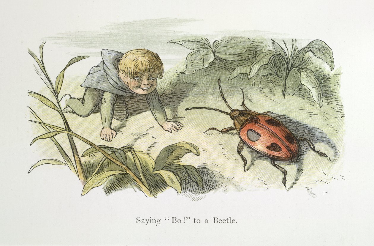 Dizendo não! para um besouro de Richard Doyle