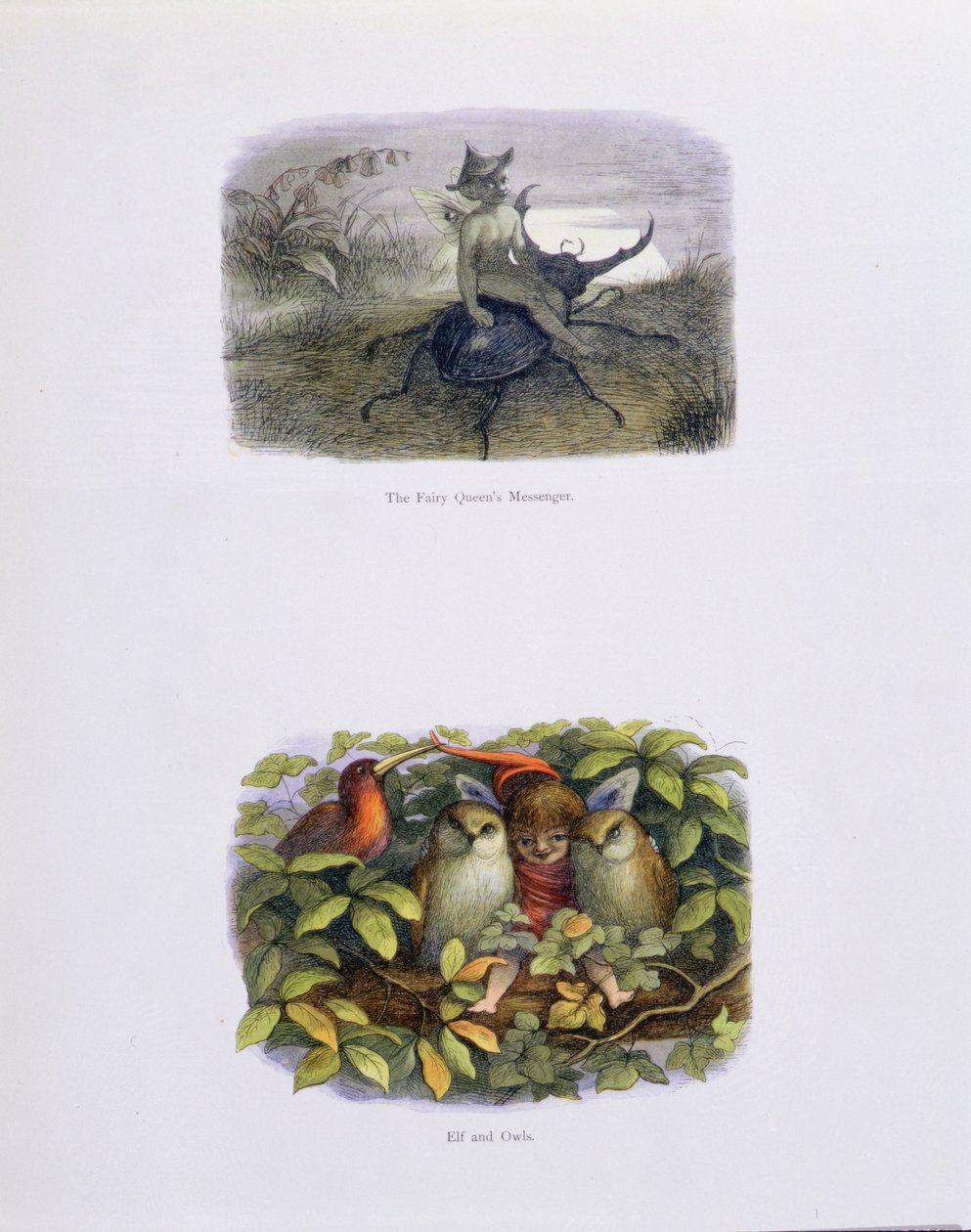 O Mensageiro da Rainha das Fadas, e Elf e Corujas, ilustrações de &39;In Fairyland: Uma Série de Imagens do Mundo Élfico&39; de William Allingham e Andrew Lang de Richard Doyle