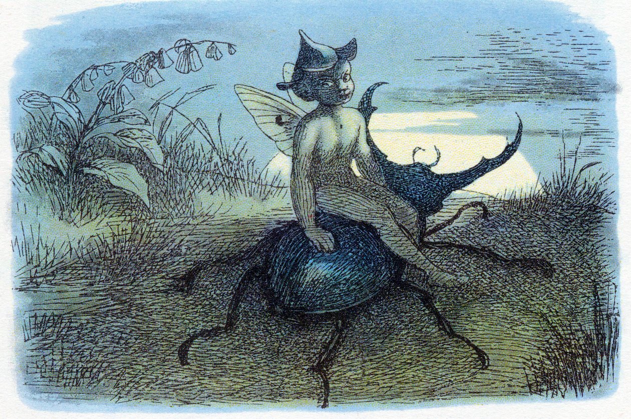 O Mensageiro da Rainha das Fadas, c1870 de Richard Doyle