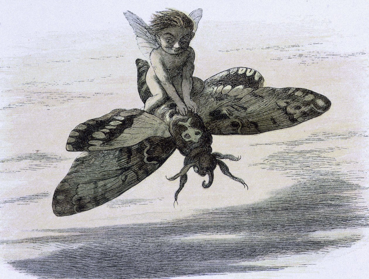 Un elfe chevauchant un papillon. Ilustração de Richard Doyle tiree de "" Na terra das fadas. Uma série de fotos do mundo dos elfos"" acompagnee d