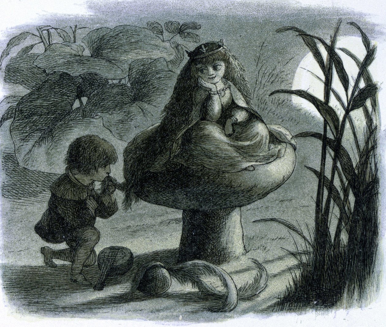 Uma fada da água sentada em um cogumelo é cortejada por um amante. Em ""Mundo das Fadas"" por Richard Doyle de Richard Doyle