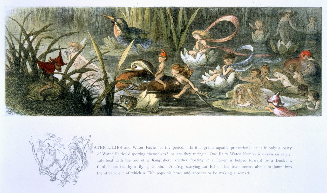 Water-lírios e fadas de água, ilustração de &39;em Fairyland: uma série de imagens do mundo-elfo&39; por William Allingham e Andrew Lang de Richard Doyle