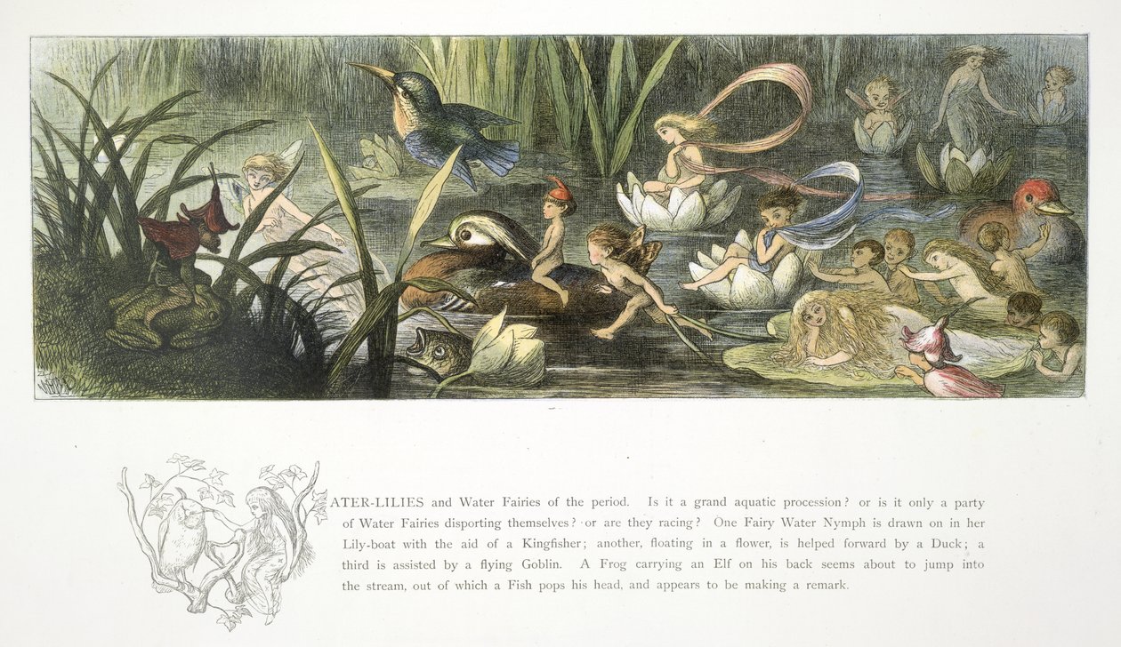 Lírios de água e fadas de água de Richard Doyle