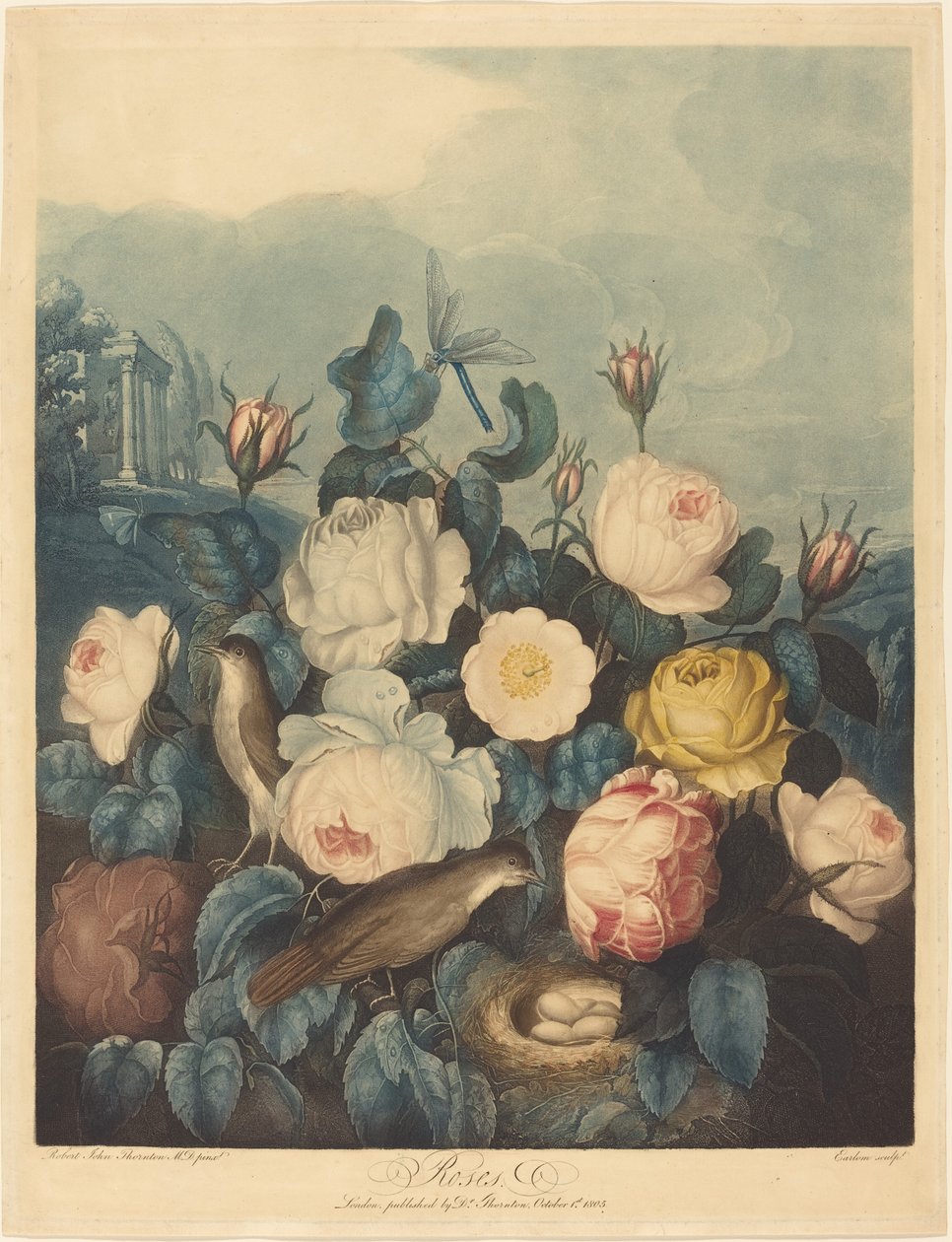 Rosas de Richard Earlom after Dr. Robert John Thornton