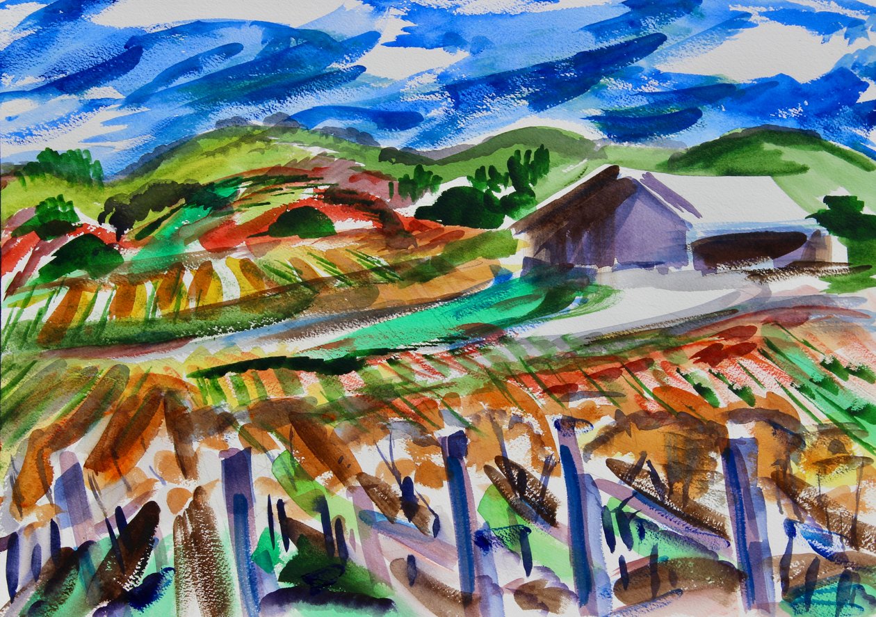 Napa no Outono, 2017 de Richard Fox