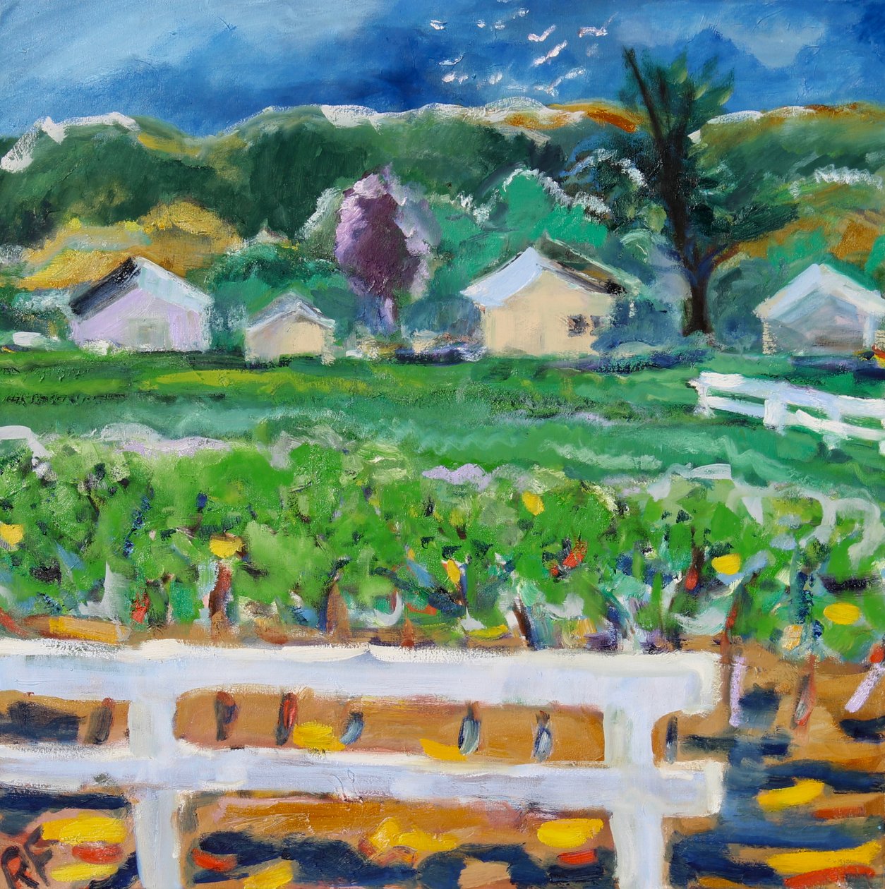 The Broken Fence, Napa, 2019 de Richard Fox